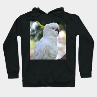 The Sulphur Crested Cockatoo Hoodie